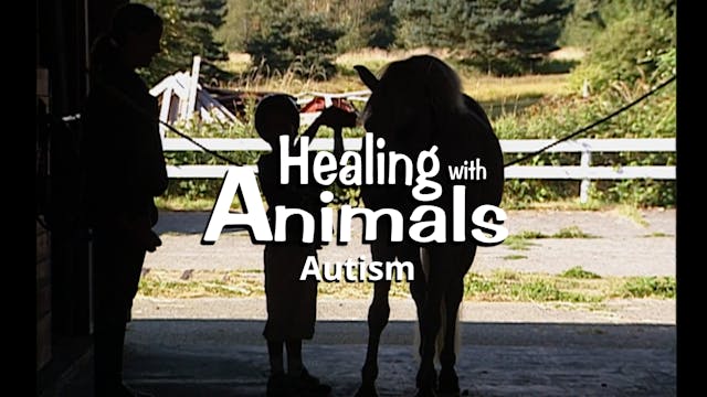 Healing with Animals: Autism