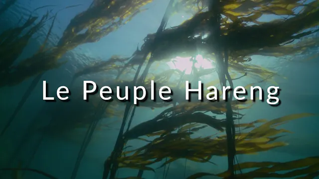 Le Peuple Hareng (Sous-titres Français)