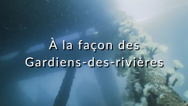 À la façon des "Gardiens-des-rivières"