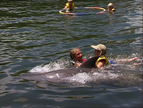 04 Healing with Animals_Dolphin Therapy