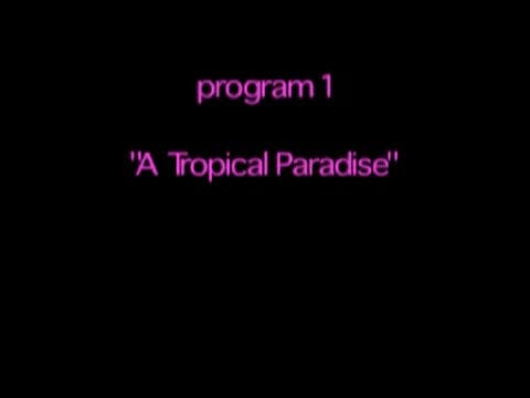 80:20 The Developing World, A Tropical Paradise (E1)