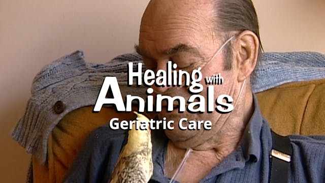 Healing with Animals: Geriatric Care