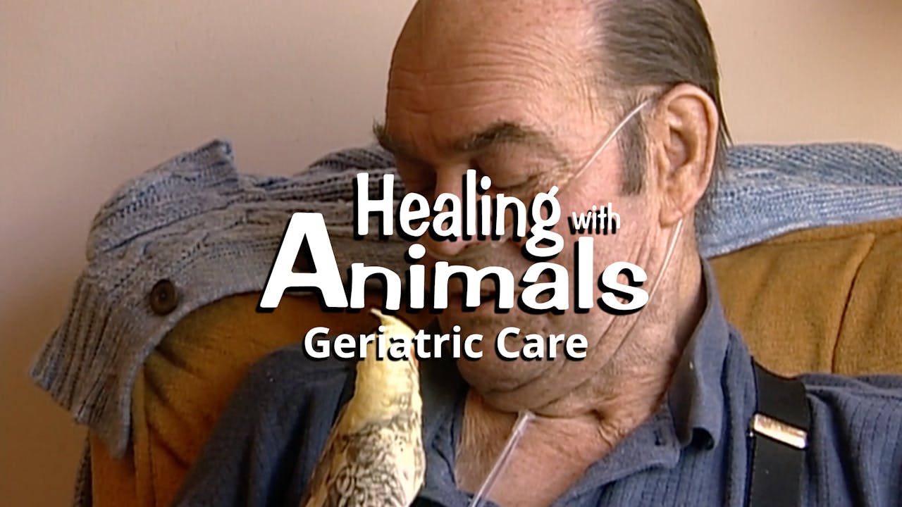 Healing with Animals: Geriatric Care