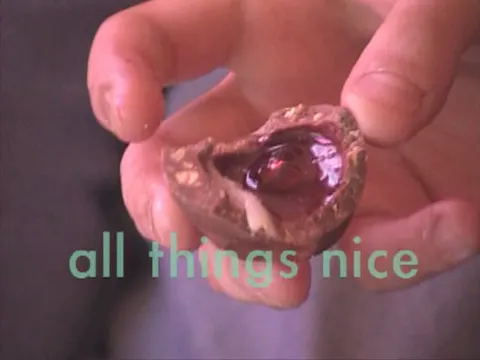 all things nice