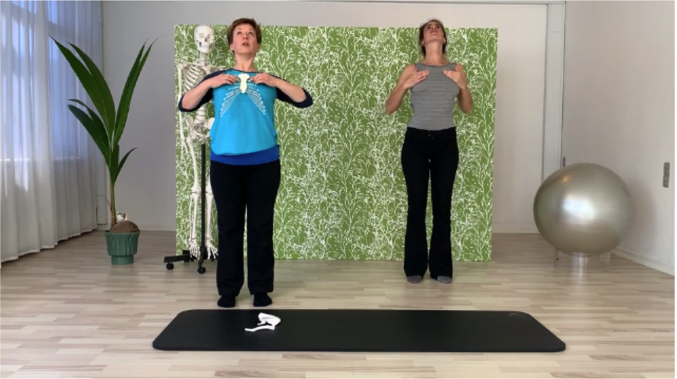 Mobilisér dit skulderparti