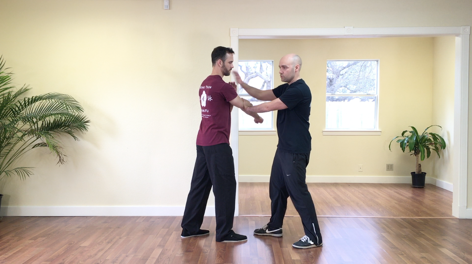 The 36 Chambers of Ving Tsun - Chamber 1