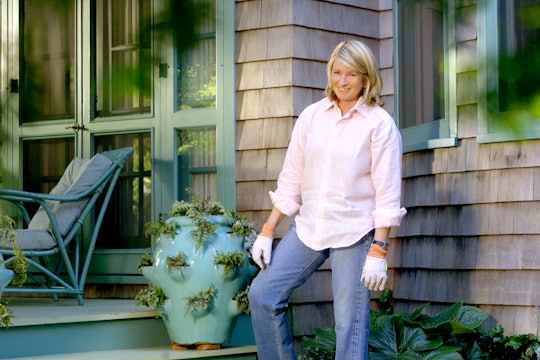 How to Grow a Moss Garden, According to Martha Stewart