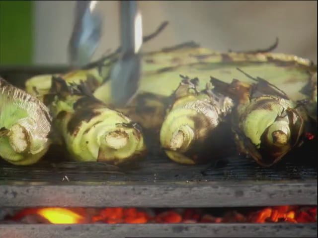 MSL Season 11 Episode 121V