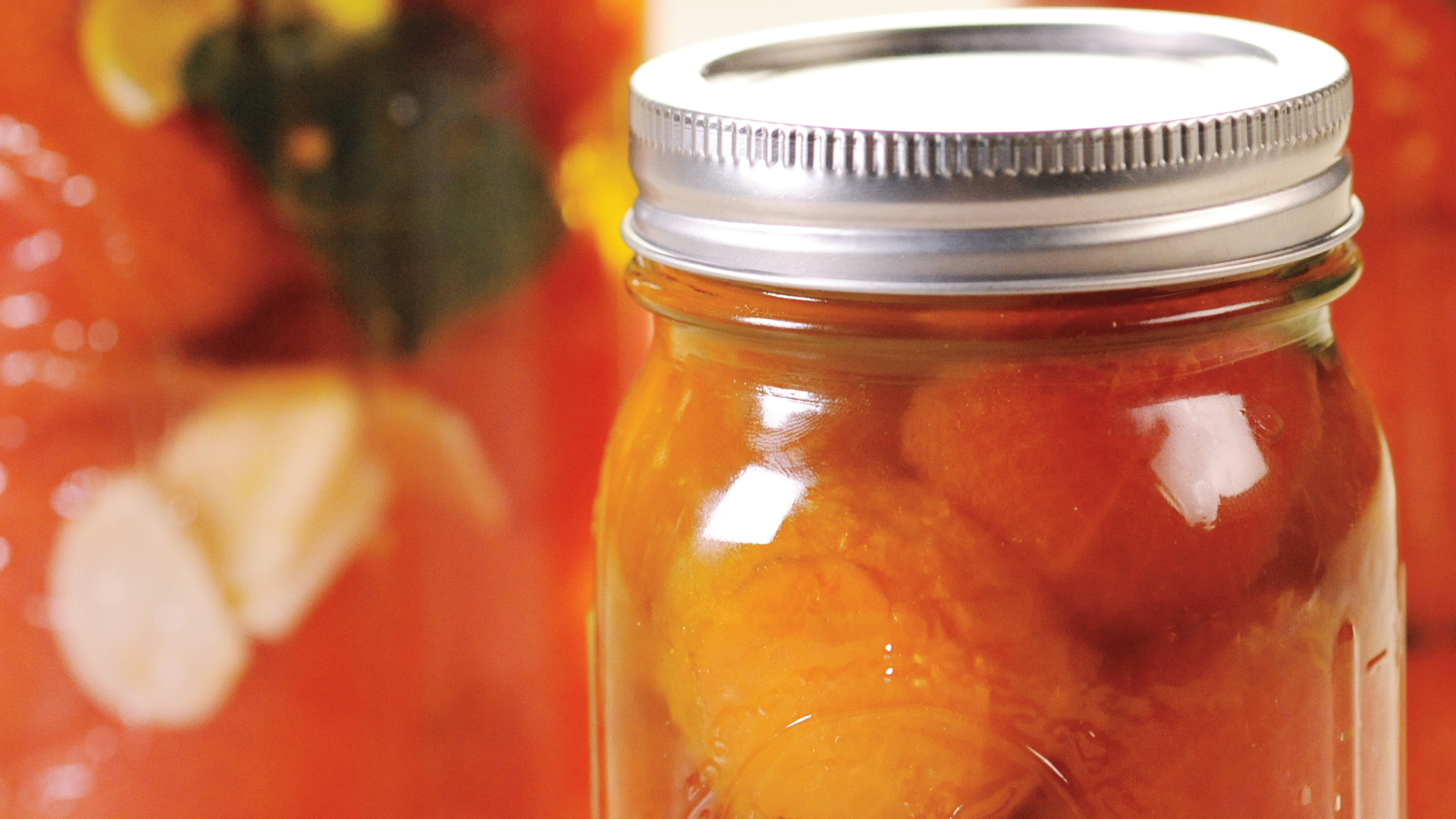 MSCS S2 E11 Preserving