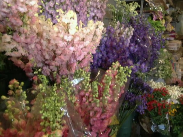 MSL Season 6 Episode 105V