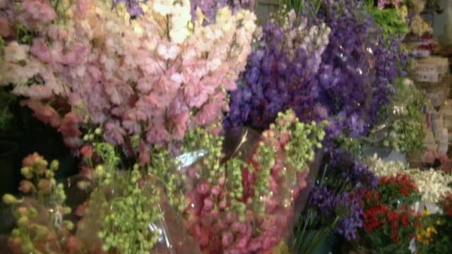 MSL Season 6 Episode 105V