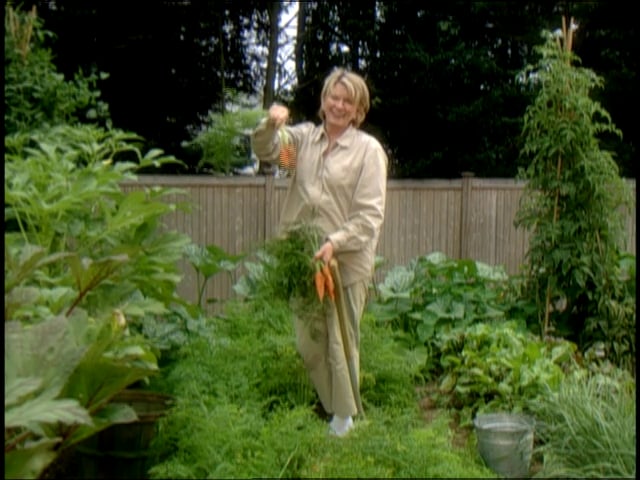 MSL Season 8 Episode 234V