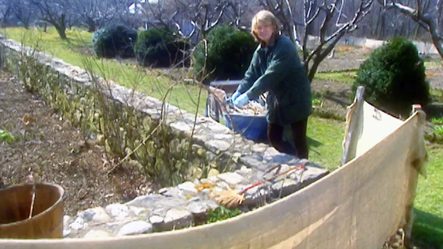 MSL S3 E25 Spring Gardening: Clivia, ...