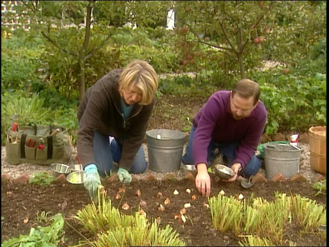 MSL Season 10 Episode 135V