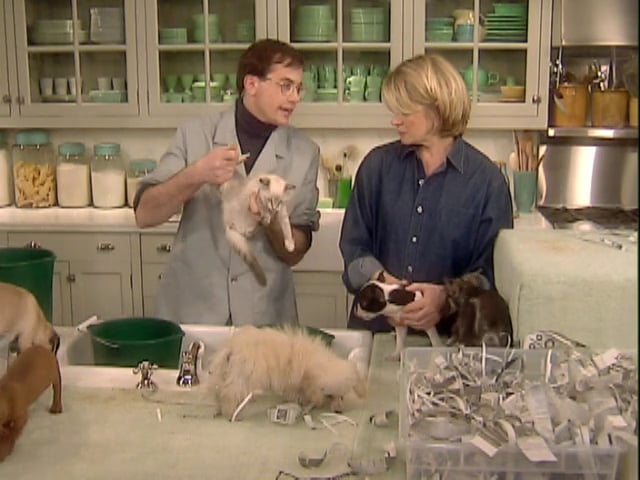 MSL Season 6 Episode 211V