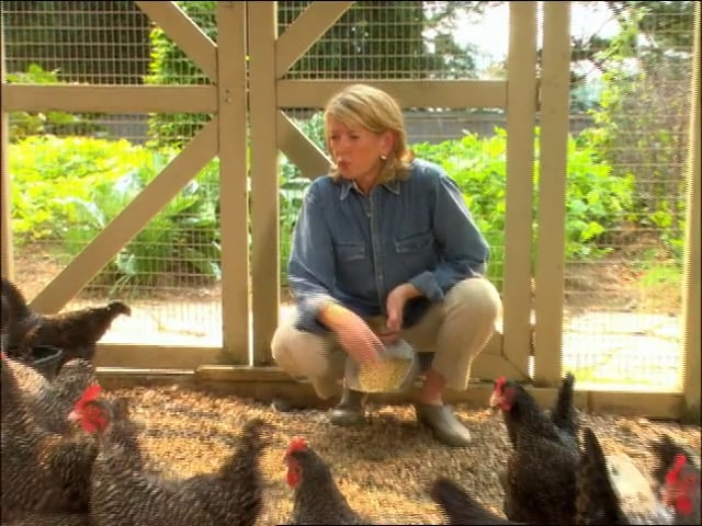 MSL Season 10 Episode 164V