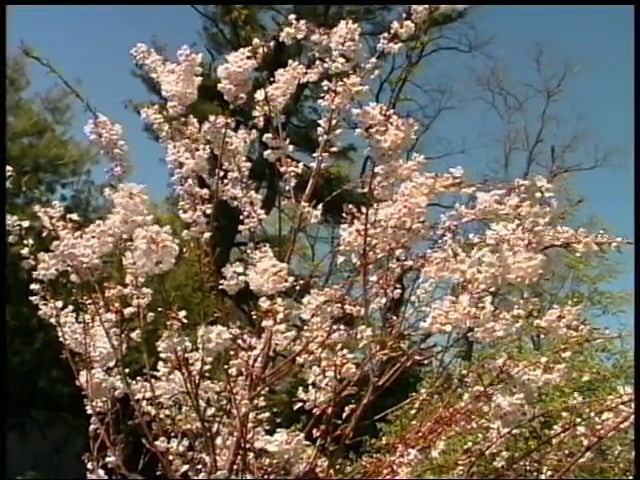 MSL Season 9 Episode 364V