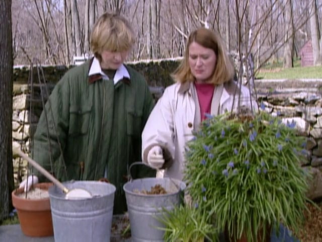 MSL Season 5 Episode 065V