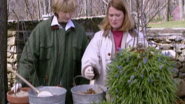 MSL Season 5 Episode 065V