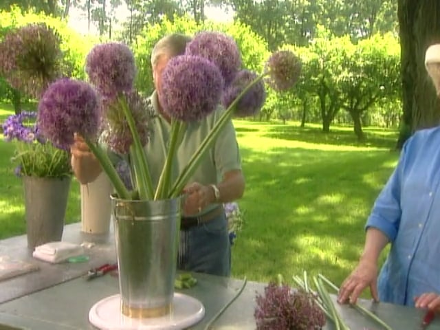 MSL Season 8 Episode 393V