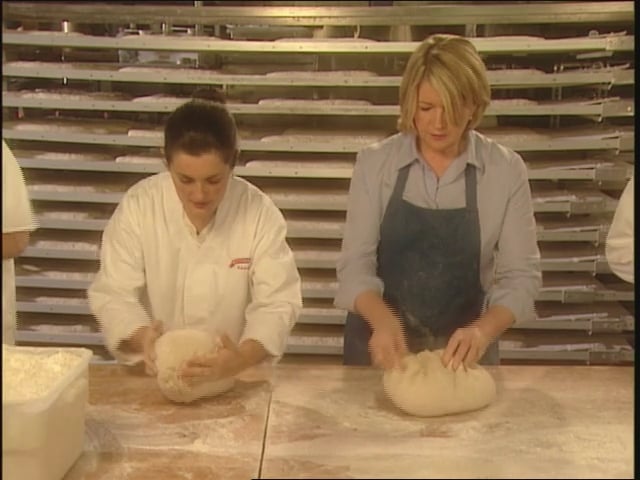 MSL Season 11 Episode 382V