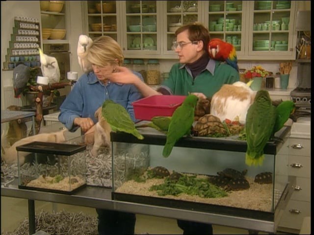 MSL Season 7 Episode 041V