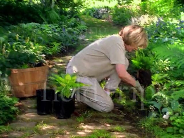 MSL Season 5 Episode 213V