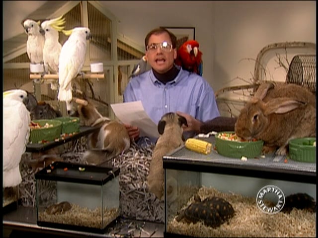 MSL Season 8 Episode 265V