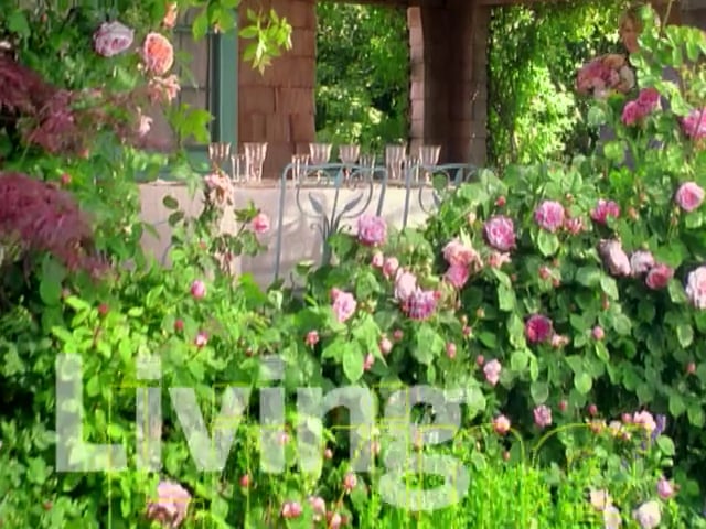 MSL Season 5 Episode 224V