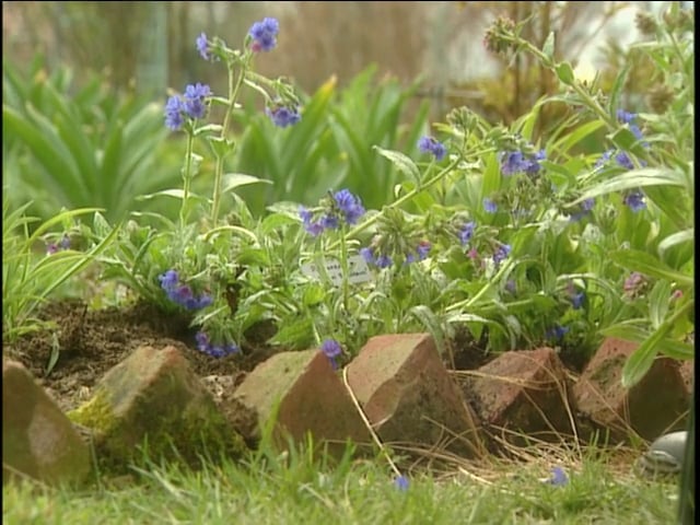 MSL Season 9 Episode 372V