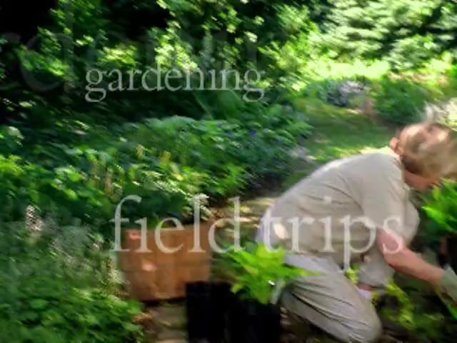 MSL Season 5 Episode 245V