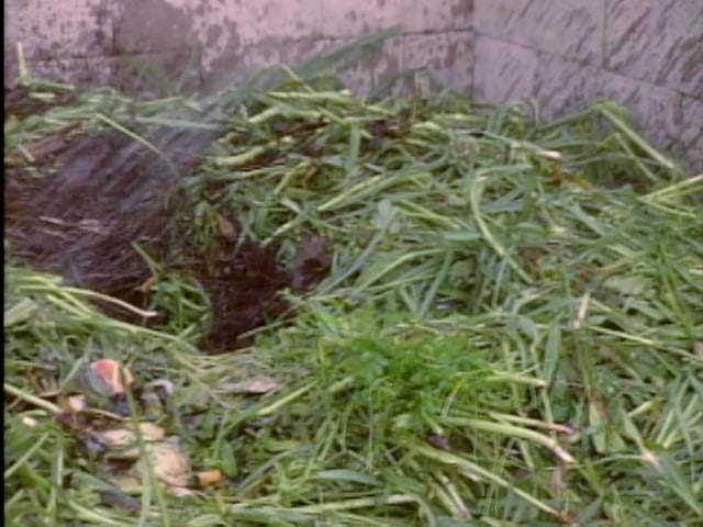 MSL Season 1 Episode 01V