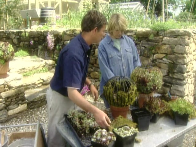 MSL Season 5 Episode 483V