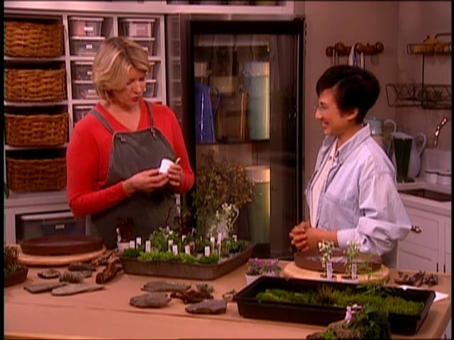 MSL Season 8 Episode 054V