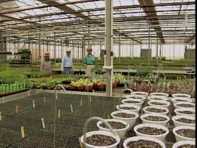 MSL Season 1 Episode 17V