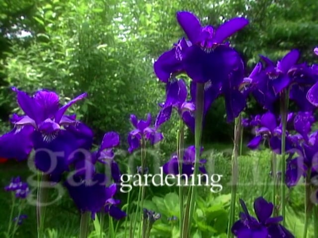 MSL Season 5 Episode 361V