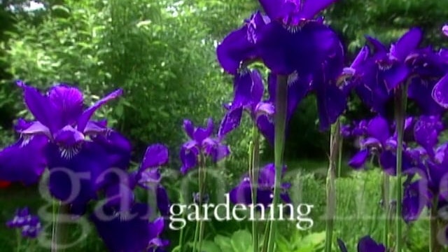 MSL Season 5 Episode 361V