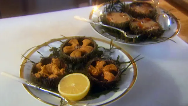 MSL S4 E21 Black Bass, Sea Urchins, C...