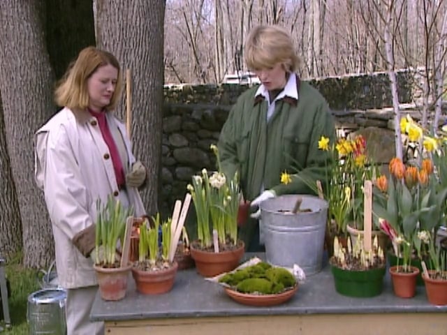 MSL Season 5 Episode 061V