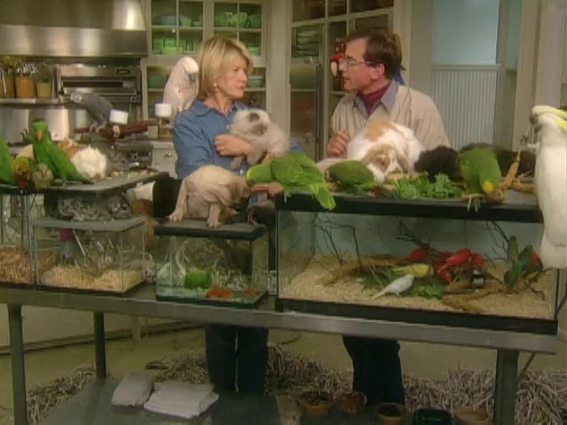 MSL Season 8 Episode 132V