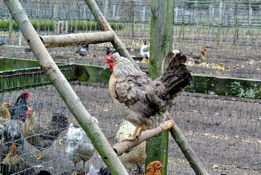 MSL Season 6 Episode 374V