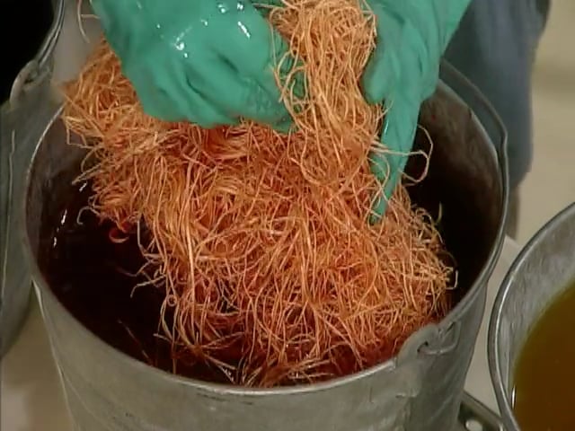 MSL Season 5 Episode 311V