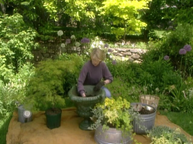 MSL Season 5 Episode 321V