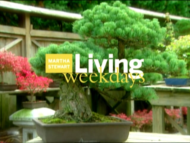 MSL Season 8 Episode 214V