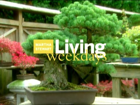 MSL Season 8 Episode 214V