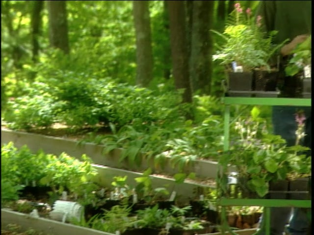 MSL Season 9 Episode 434V