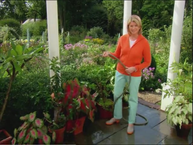 MSL Season 11 Episode 182V