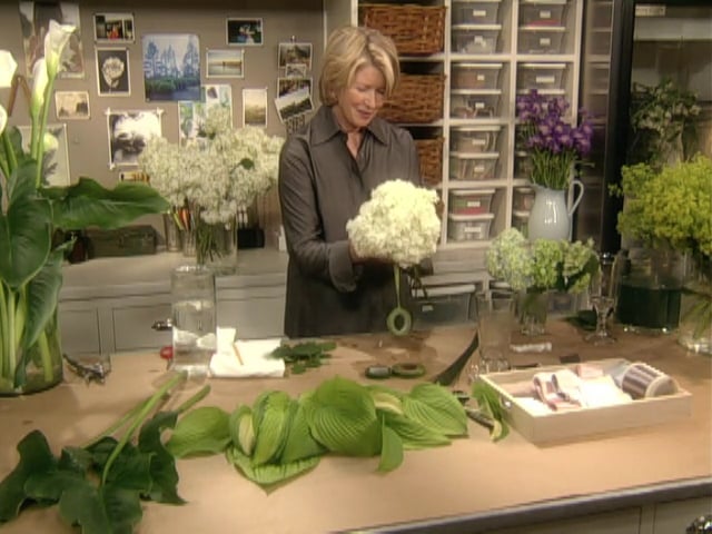 MSL Season 6 Episode 473V