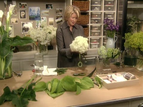 MSL Season 6 Episode 473V