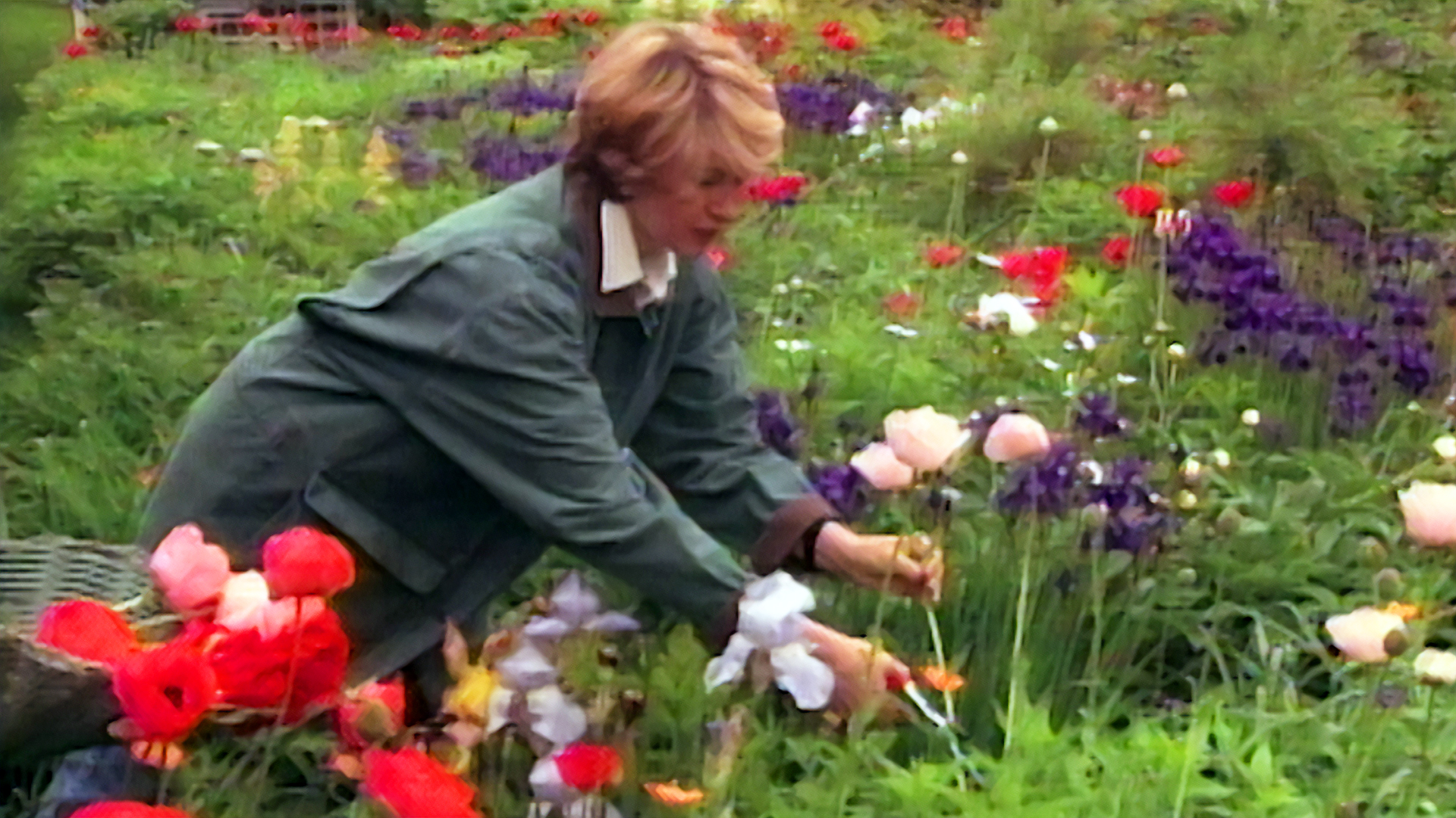 MSL S1 E25 Poppies, Salad Dressing, Tea, Madeleines